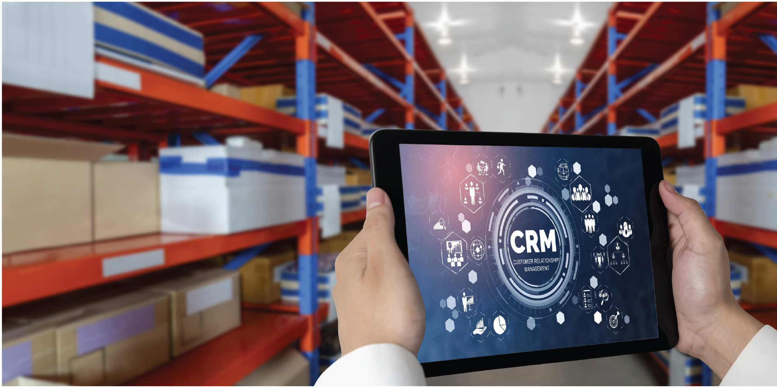 Business Support & Supply Chain